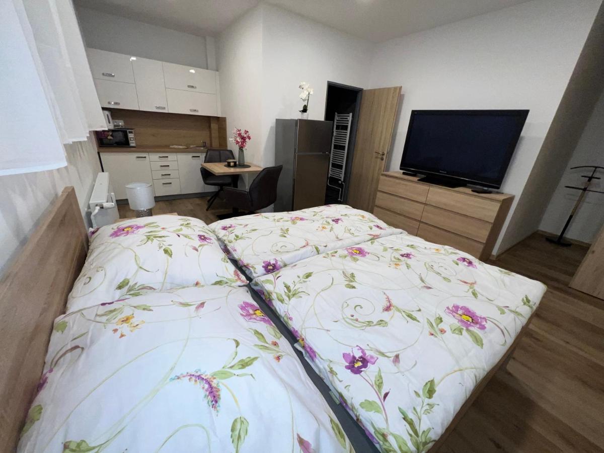 U Jelena 1 Apartment Český Krumlov